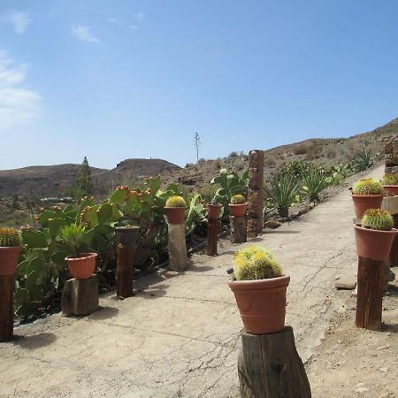 Vivelorural Casa En Valle De Chira Con Piscina San Bartolomé Eksteriør billede